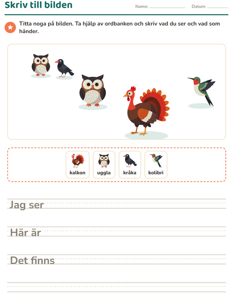 Förhandsvisning av Skriv till bilden-arbetsblad med Fåglar 2 för Årskurs 2
