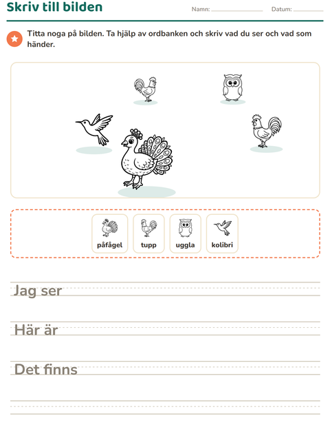 Förhandsvisning av Skriv till bilden-arbetsblad med Fåglar S&V 2 för Årskurs 2