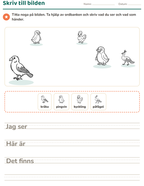 Förhandsvisning av Skriv till bilden-arbetsblad med Fåglar S&V för Årskurs 2