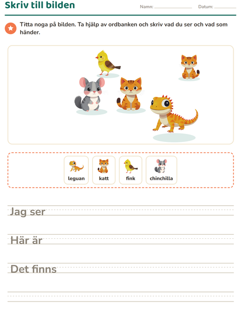 Förhandsvisning av Skriv till bilden-arbetsblad med Husdjur för Årskurs 2
