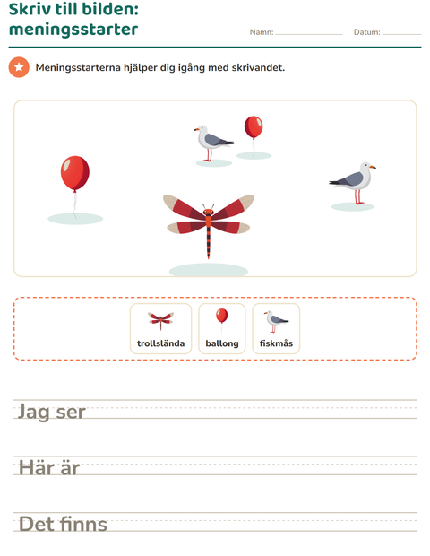 Förhandsvisning av Skriv till bilden-arbetsblad med Saker som flyger för Årskurs 2
