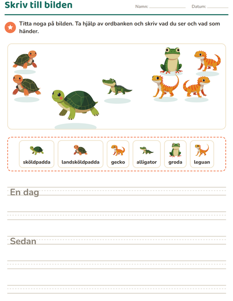 Förhandsvisning av Skriv till bilden-arbetsblad med Reptiler och groddjur för Årskurs 2