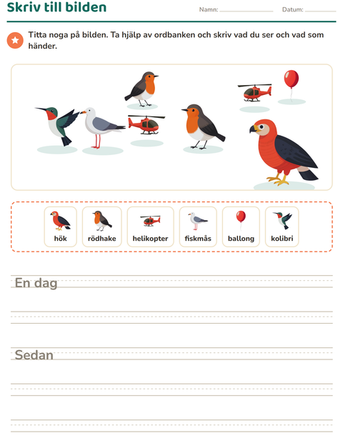 Förhandsvisning av Skriv till bilden-arbetsblad med Saker som flyger för Årskurs 2