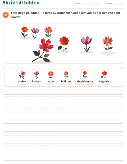 Förhandsvisning av Skriv till bilden-arbetsblad med Blommor för Årskurs 2