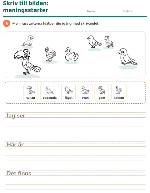 Förhandsvisning av Skriv till bilden-arbetsblad med Fåglar S&V 2 för Årskurs 2