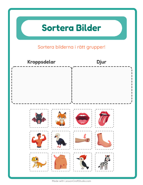 Förhandsvisning av Sortera Bilder-arbetsblad för Förskoleklass