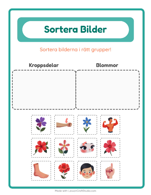 Bildsortering: Kroppsdelar och Blommor