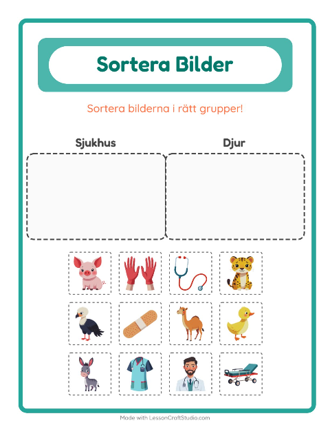 Bildsortering: Sjukhus och Djur