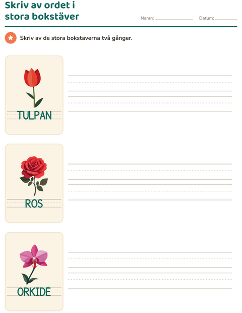 Förhandsvisning av Spåra ord-arbetsblad med Blommor för Förskoleklass