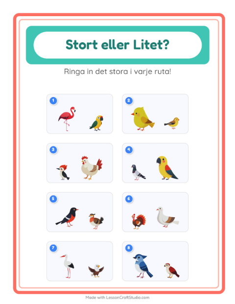 Störst och minst – Fåglar 2