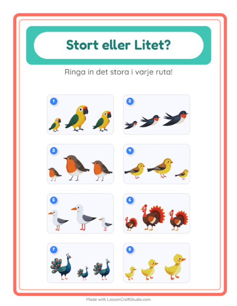 Hitta störst och minst bland fåglar – arbetsblad för förskolan — 2