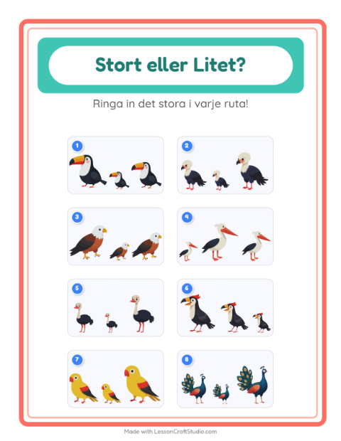 Störst och minst – Fåglar