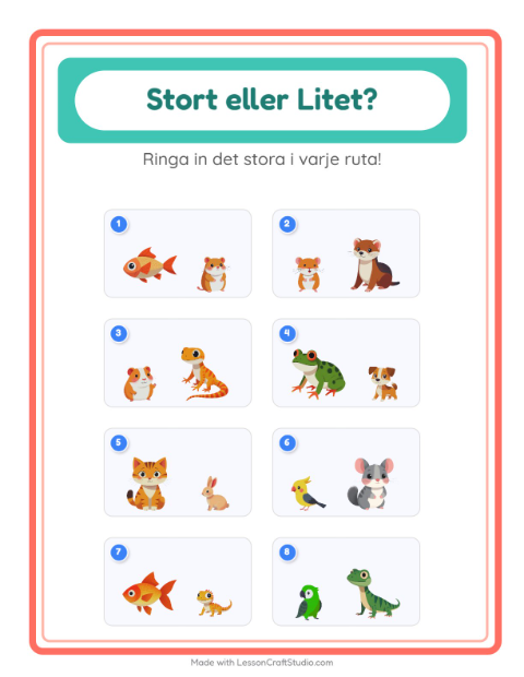 Störst och minst – Husdjur