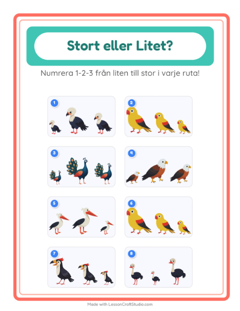 Ordna efter storlek – Fåglar