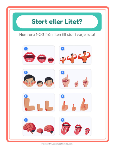 Ordna efter storlek – Kroppsdelar